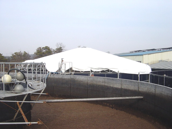 pipe10.jpg